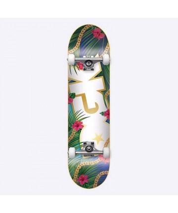 DGK Vacation Complete Skateboard - Multi