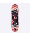 DGK Scribble Complete Skateboard