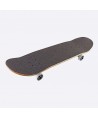 DGK Scribble Complete Skateboard