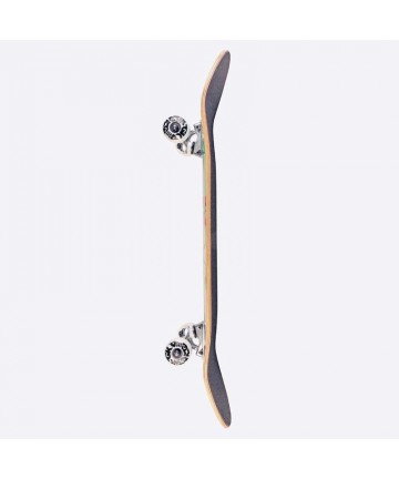 DGK Scribble Complete Skateboard