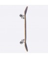 DGK Scribble Complete Skateboard