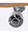 DGK Scribble Complete Skateboard