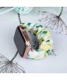Fabric band for Apple Watch 38 / 40 / 41 mm strap bracelet rubber band - pineapple