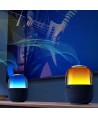 Joyroom wireless Bluetooth 5.3 RGB speaker black (JR-ML05)