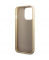 Guess GUHCP13XHG4SGD case for iPhone 13 Pro Max 6.7" - gold Glitter Script Big 4G