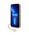 Guess GUHCP14LGF4GBR iPhone 14 Pro 6.1 "brown / brown hardcase 4G Charms Collection