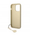 Guess GUHCP14LGF4GBR iPhone 14 Pro 6.1 "brown / brown hardcase 4G Charms Collection