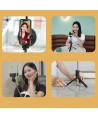 Selfie stick WRY1S telescopic tripod 0.7m for phone - black