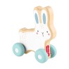Fisher-Price®: Wooden Push-Along Bunny (JDM52)