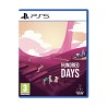 PS5 Hundred Days