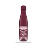 Pyramid Harry Potter - Crest  Stripes Metal Drinks Bottle (550ml) (MDB25453)