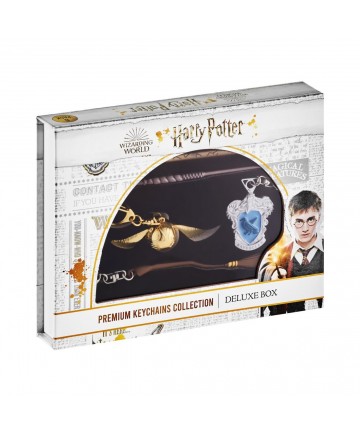 P.M.I. Harry Potter Metal Premium Keychains Collection - 6 Pack Deluxe Box (Random) (HP8550)