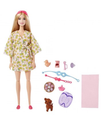 Mattel Barbie: You Can Be Anything - Self-Care Spa Day with Puppy Doll (HKT90)