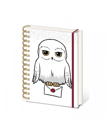 Pyramid: Harry Potter - Special Delivery A5 Wiro Notebook (SR74526)